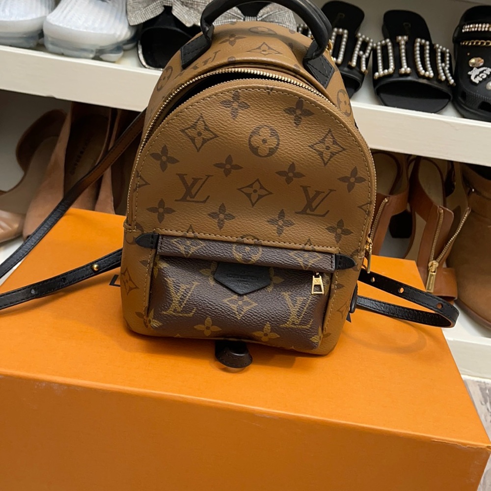 Authentic Louis Vuitton Palm Springs mini reverse